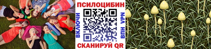 ссылка на мегу сайт  Нариманов  Галлюциногенные грибы мухоморы  как найти закладки 